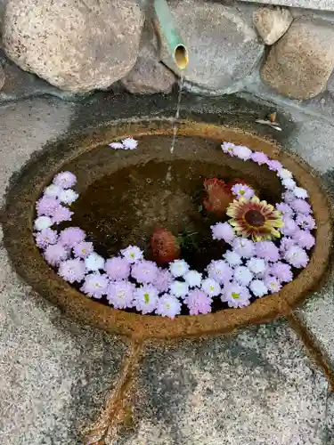 生田神社の手水舎