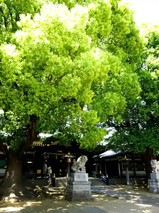 穴八幡宮(東京都)