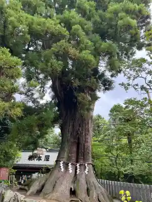 筑波山神社(茨城県)