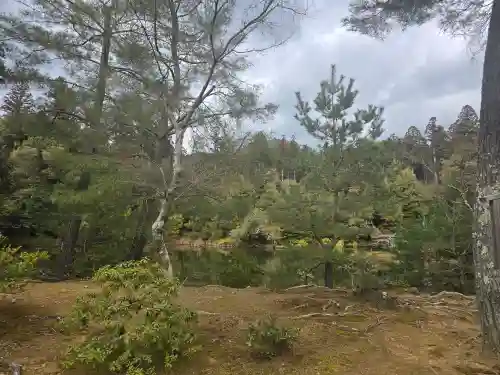 鹿苑寺（金閣寺）(京都府)