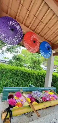 伊和志津神社(兵庫県)