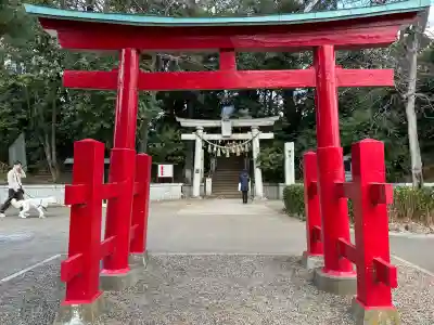 千束八幡神社の{uncategorized: "未分類", other: "その他", undefined: "問題あり", building: "その他建物", grave: "お墓", sacred_gate: "鳥居", guardian: "狛犬", statue: "像", buddha: "仏像", history: "歴史", nature: "自然", garden: "庭園", animal: "動物", pagoda: "塔", temizu: "手水舎", mountain_gate: "山門・神門", sanctuary: "本殿・本堂", subordinate: "末社・摂社", art: "芸術", scenery: "景色", jizo: "地蔵", ema: "絵馬", goshuin: "御朱印", omikuji: "おみくじ", items: "授与品その他", amulet: "お守り", goshuincho: "御朱印帳", eats: "食事", festival: "お祭り", votive_dance: "神楽", shichigosan: "七五三参", wedding: "結婚式", experience: "体験その他", initially: "初詣", around: "周辺", anti_infection: "感染症対策"}