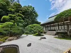 報国寺の庭園