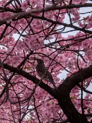 新宿下落合氷川神社(東京都)