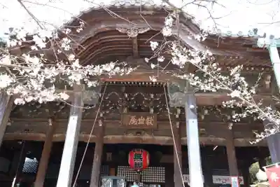 金剛宝寺(紀三井寺)(和歌山県)