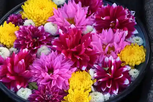 大鏑神社の手水舎