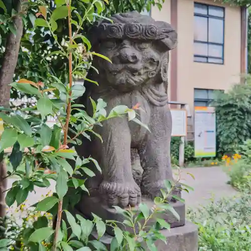 鷺宮八幡神社の狛犬