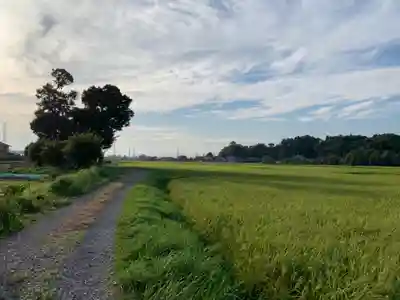 稲荷神社の周辺