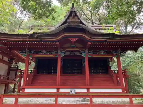 金剛寺(大阪府)