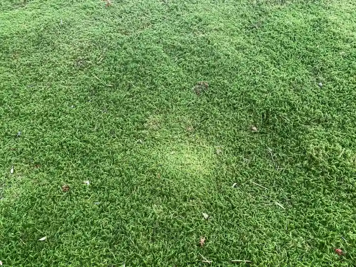 修禅寺(静岡県)