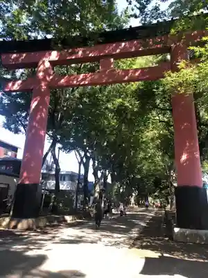 武蔵一宮氷川神社の鳥居