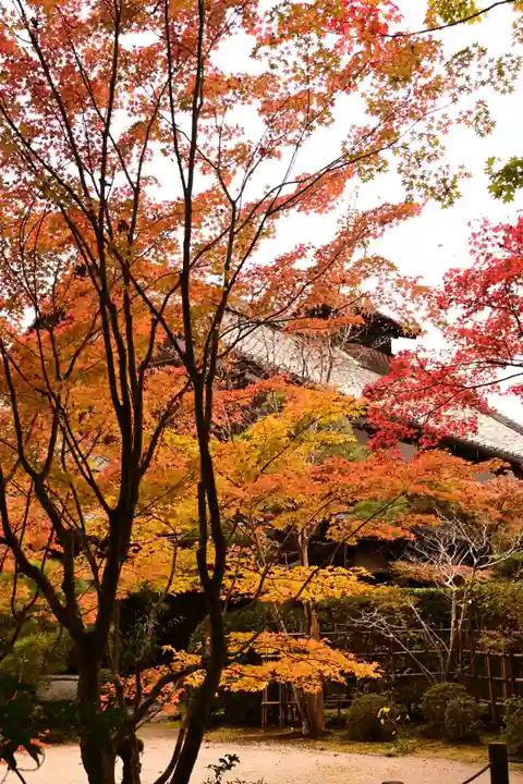 天授庵(京都府)