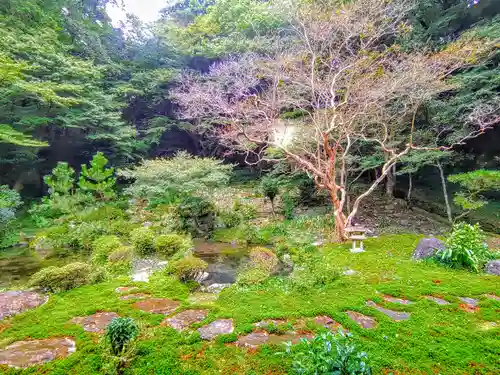 財賀寺の庭園