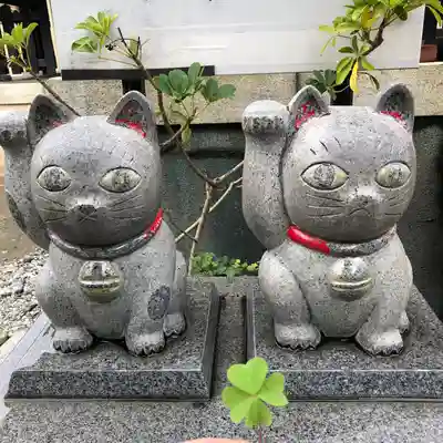 今戸神社の狛犬