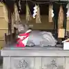 綱敷天神社の狛犬