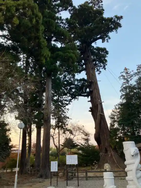 八幡宮(茨城県)