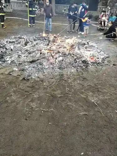 青柳稲荷神社の体験その他