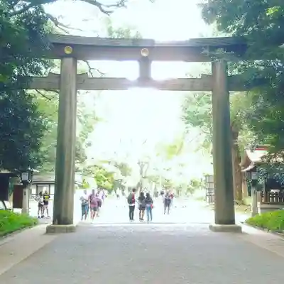 明治神宮の鳥居