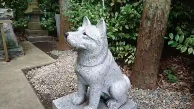 座間神社の狛犬