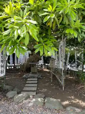 龍口明神社(神奈川県)