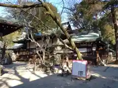 白峯神宮の本殿