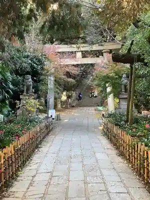 赤坂氷川神社(東京都)