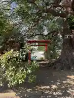 石受稲荷神社の{uncategorized: "未分類", other: "その他", undefined: "問題あり", building: "その他建物", grave: "お墓", sacred_gate: "鳥居", guardian: "狛犬", statue: "像", buddha: "仏像", history: "歴史", nature: "自然", garden: "庭園", animal: "動物", pagoda: "塔", temizu: "手水舎", mountain_gate: "山門・神門", sanctuary: "本殿・本堂", subordinate: "末社・摂社", art: "芸術", scenery: "景色", jizo: "地蔵", ema: "絵馬", goshuin: "御朱印", omikuji: "おみくじ", items: "授与品その他", amulet: "お守り", goshuincho: "御朱印帳", eats: "食事", festival: "お祭り", votive_dance: "神楽", shichigosan: "七五三参", wedding: "結婚式", experience: "体験その他", initially: "初詣", around: "周辺", anti_infection: "感染症対策"}