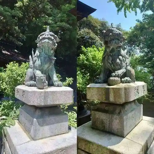 平潟八幡神社の狛犬