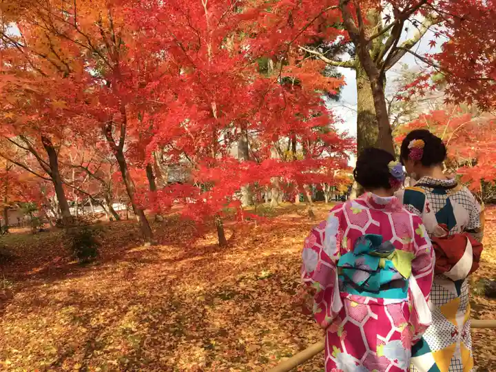 禅林寺(永観堂)の自然