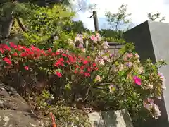 検見川神社の自然