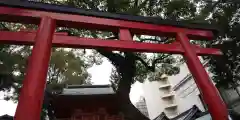 春日神社の鳥居