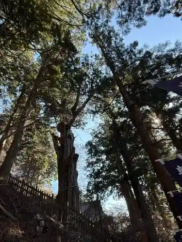 玉置神社(奈良県)