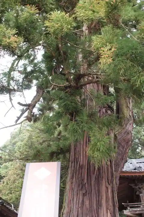 武田八幡宮(山梨県)