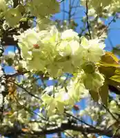 蚊里田八幡宮(長野県)