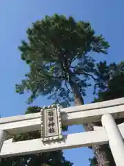 菊田神社の鳥居