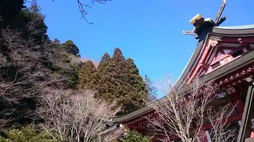 大山阿夫利神社本社の景色