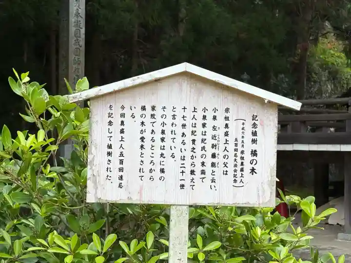 西教寺の{uncategorized: "未分類", other: "その他", undefined: "問題あり", building: "その他建物", grave: "お墓", sacred_gate: "鳥居", guardian: "狛犬", statue: "像", buddha: "仏像", history: "歴史", nature: "自然", garden: "庭園", animal: "動物", pagoda: "塔", temizu: "手水舎", mountain_gate: "山門・神門", sanctuary: "本殿・本堂", subordinate: "末社・摂社", art: "芸術", scenery: "景色", jizo: "地蔵", ema: "絵馬", goshuin: "御朱印", omikuji: "おみくじ", items: "授与品その他", amulet: "お守り", goshuincho: "御朱印帳", eats: "食事", festival: "お祭り", votive_dance: "神楽", shichigosan: "七五三参", wedding: "結婚式", experience: "体験その他", initially: "初詣", around: "周辺", anti_infection: "感染症対策"}