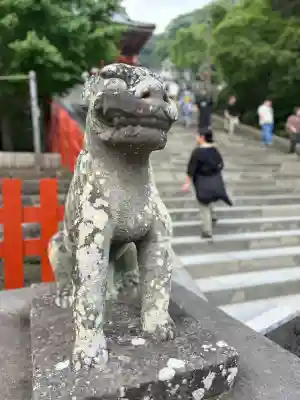 鶴岡八幡宮の狛犬