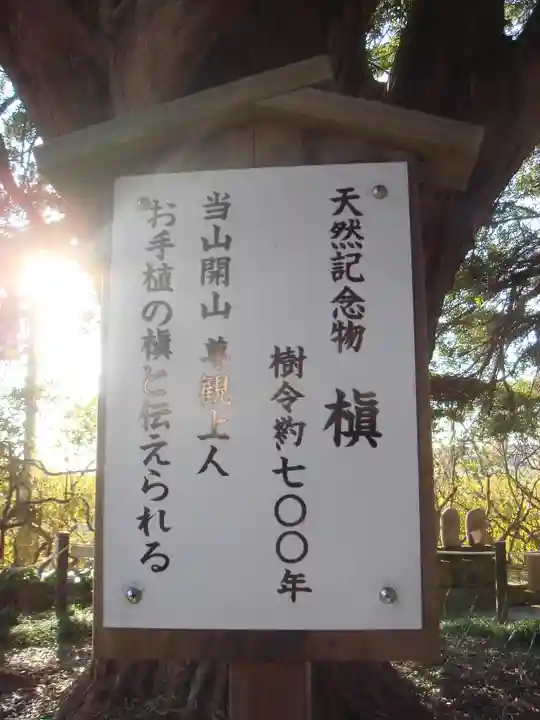 安養院 (田代寺)の歴史