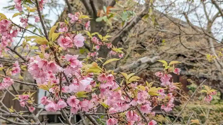 勧修寺(京都府)