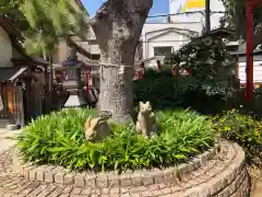 尼崎えびす神社の狛犬