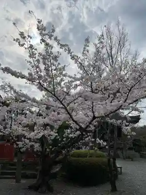 穴太寺(京都府)