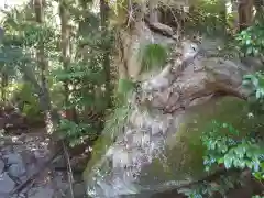 月水石神社の建物その他