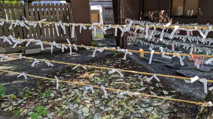 帯廣神社のおみくじ