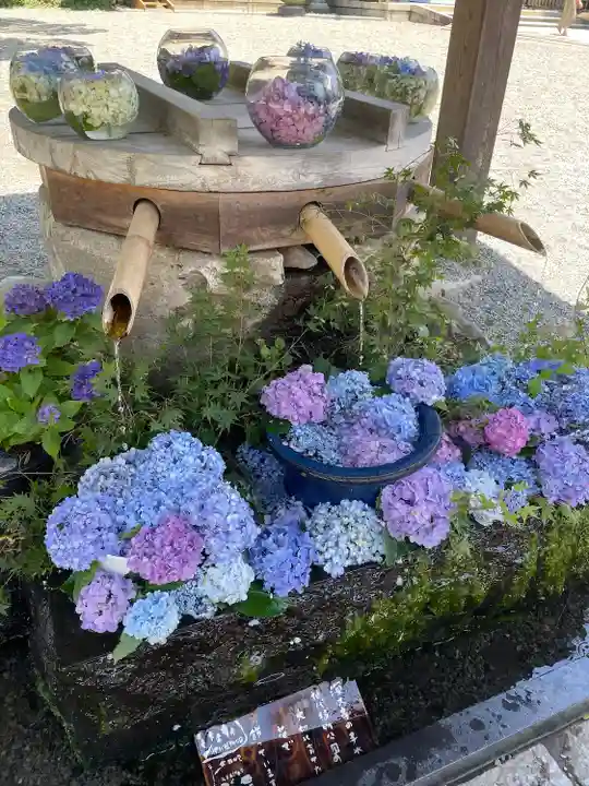 深大寺(東京都)