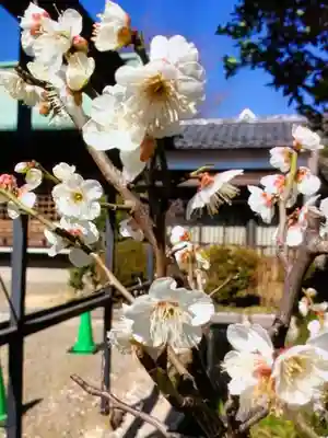 本郷氷川神社(東京都)