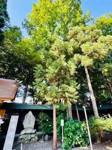 土津神社｜こどもと出世の神さま(福島県)