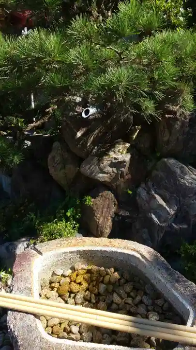 近江神宮(滋賀県)