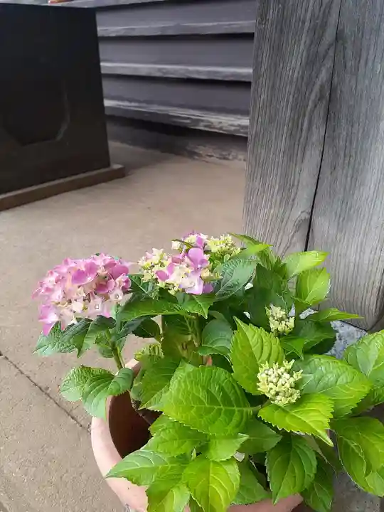伏木香取神社(茨城県)