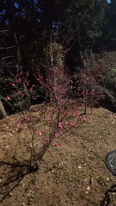 矢奈比賣神社(見付天神)(静岡県)